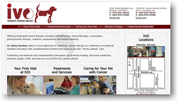 Integrative Veterinary Oncology